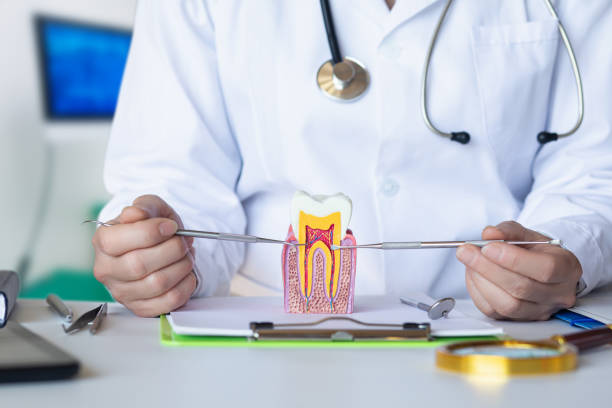 Best Chipped Tooth Repair Near Me  in Eddystone, PA